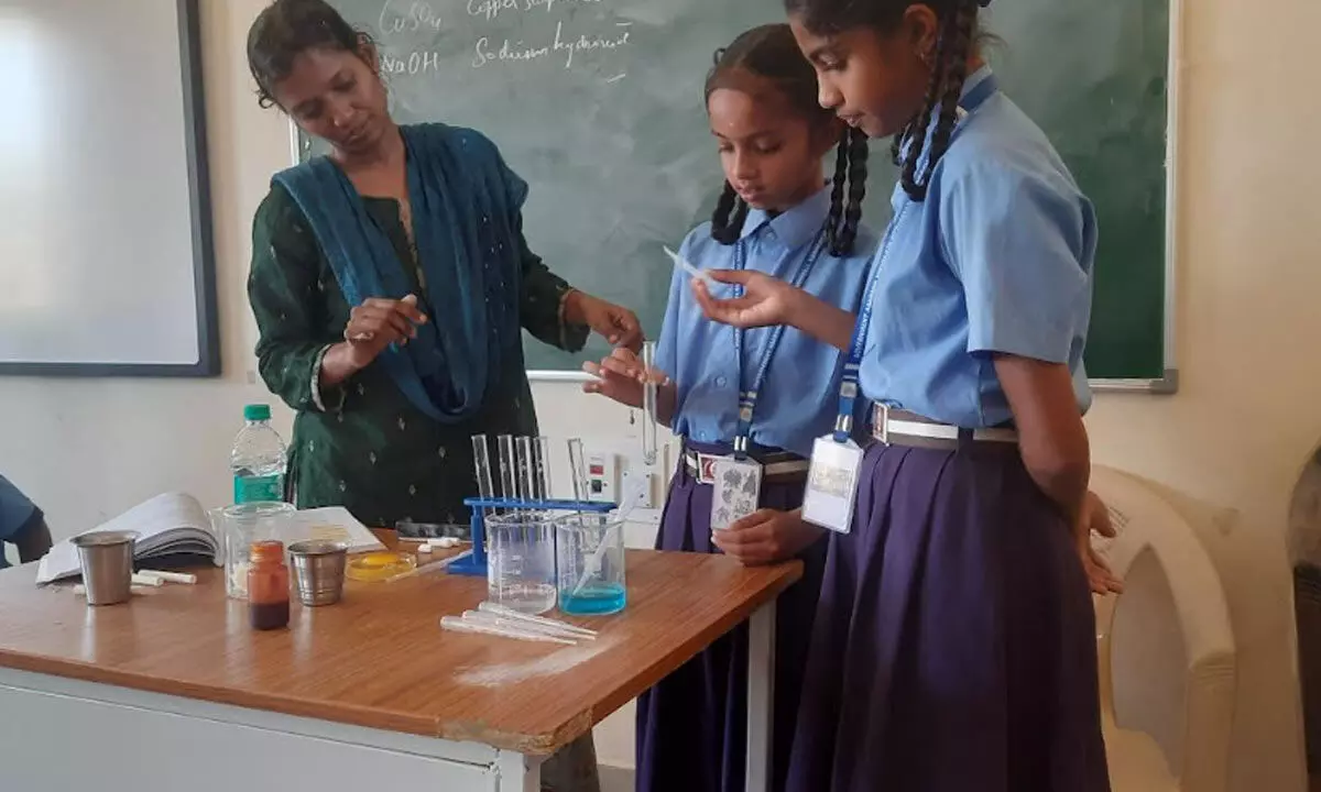 Next Generation Science Standards (NGSS)