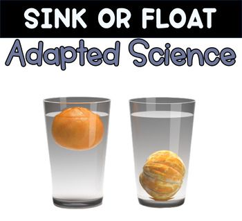 DIY Science Kits at Home: Fun and Educational Experiments for Kids and Families 4 Floating and Sinking Experiment