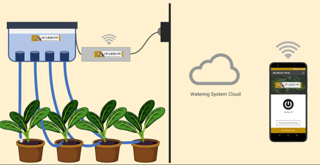 Live Projects for Kids