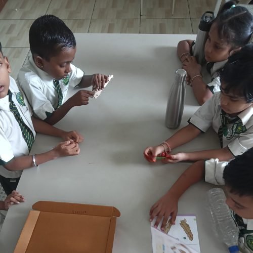 Science experiments for kids