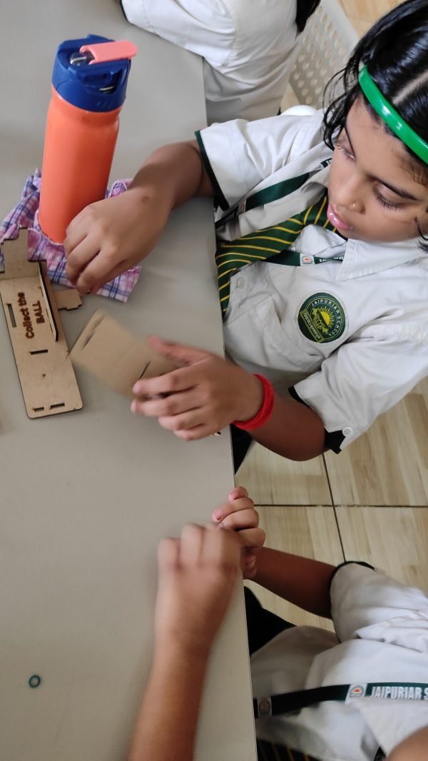 Student STEM projects Lucknow