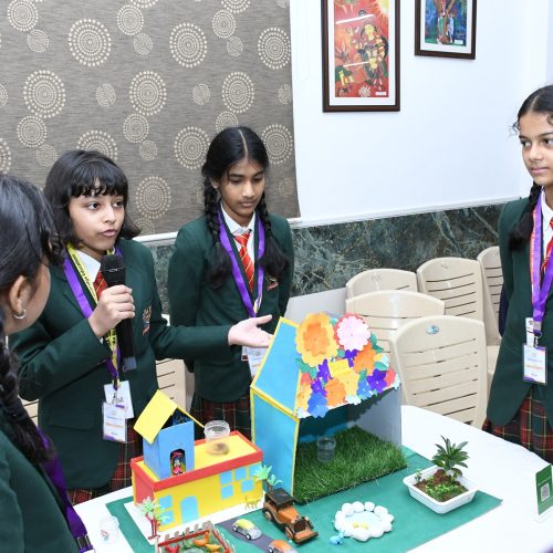 STEM projects for Indian students