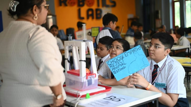 stem education program