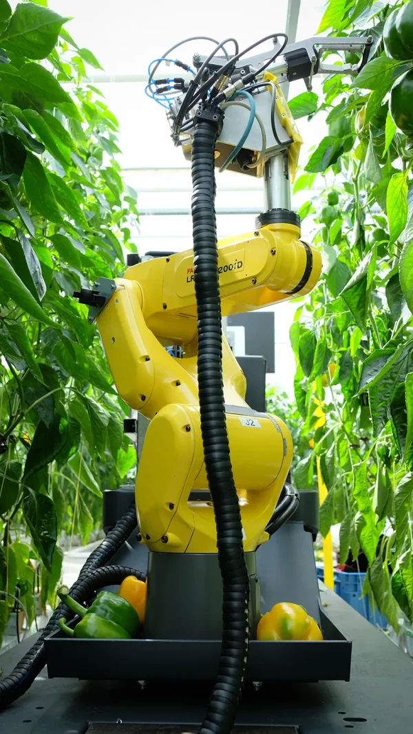 DIY electronics labs